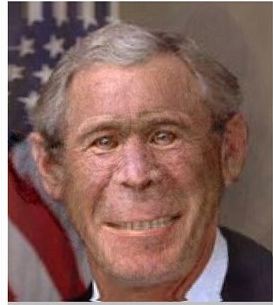 obama chimp picture